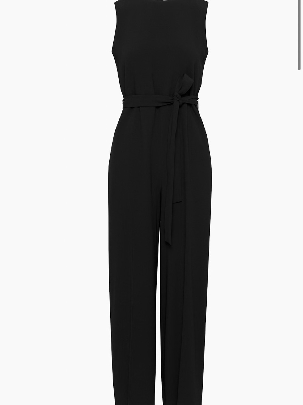 Aritzia Babaton Office Jumpsuit